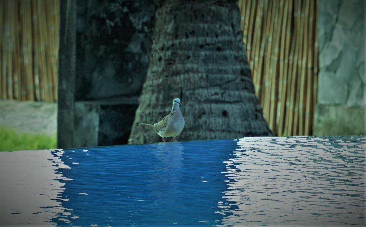 Bali Bhuana Beach Cottages Amed Exterior foto